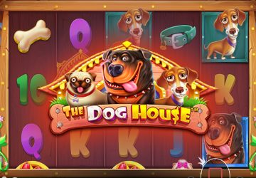 NOVOMATIC - игровой автомат онлайн от Various с RTP 96.61%